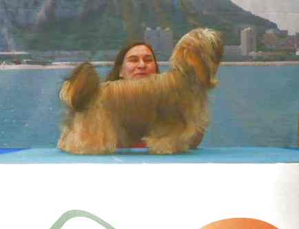 Publication : Coeur De Masai Auteur : coeur de masaï