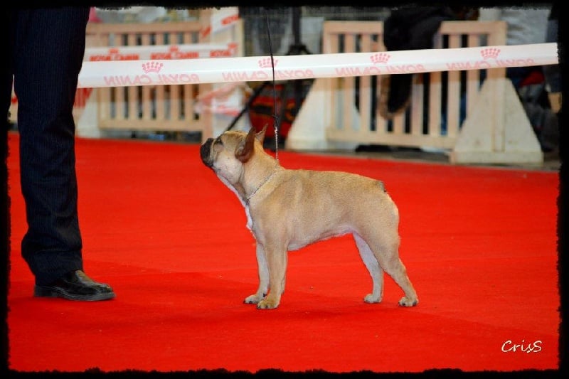 Publication : Del Golfo De Roses