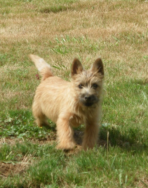 Publication : Du moulin de labatut 