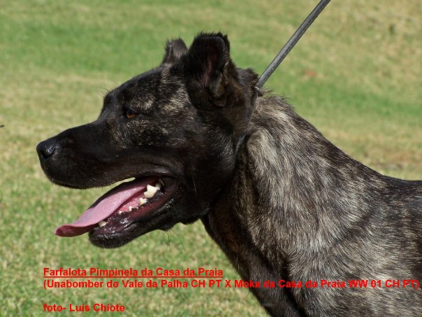 Publication : da casa da praia