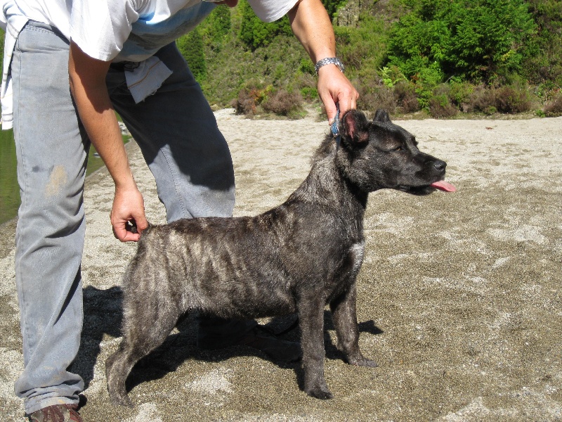 Publication : da casa da praia 