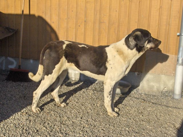 Publication : D'estrelboss Auteur : d'estrelboss