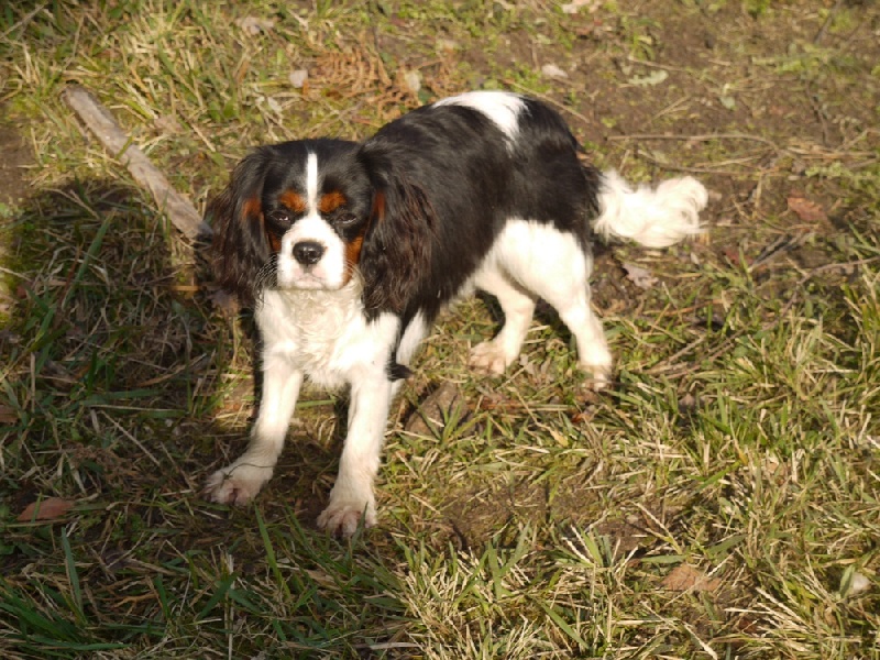 Publication : de la fontaine au cresson