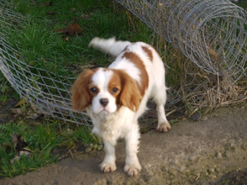 Publication : de la fontaine au cresson