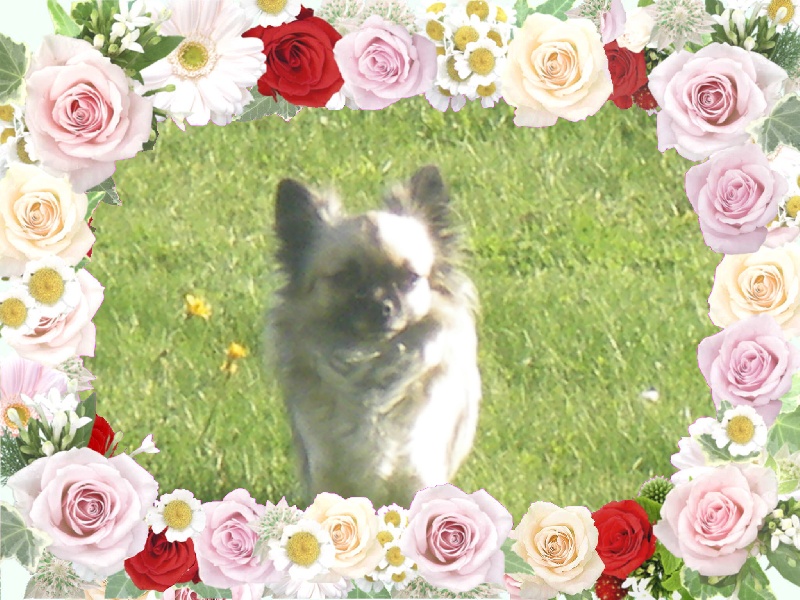 Embre du domaine d 'aiden