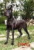 Ludmilla - n of old pink house