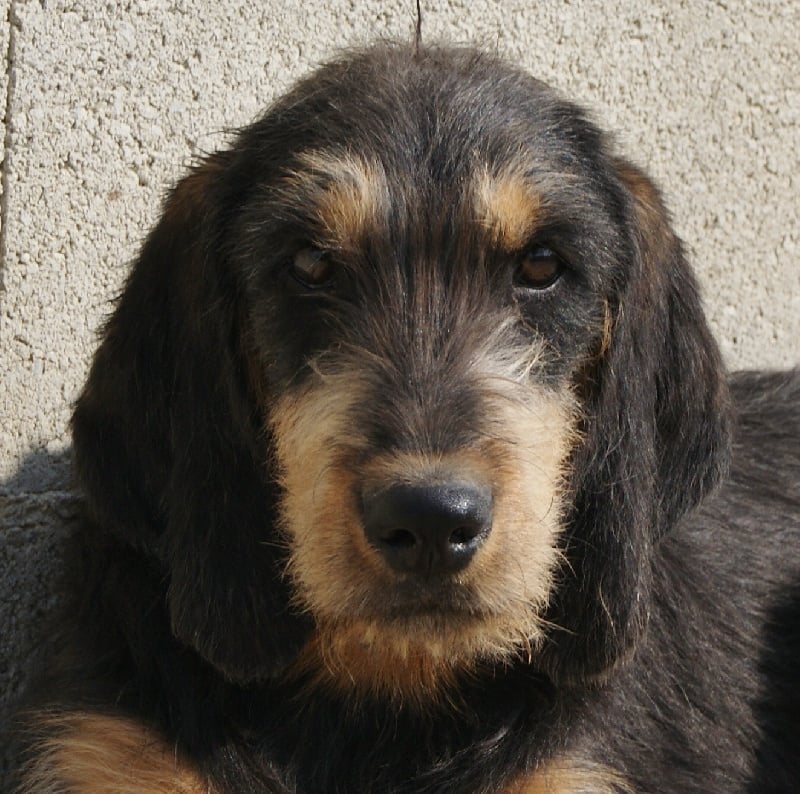 Publication : du roc d'Eden Auteur : Sylvie Hebert