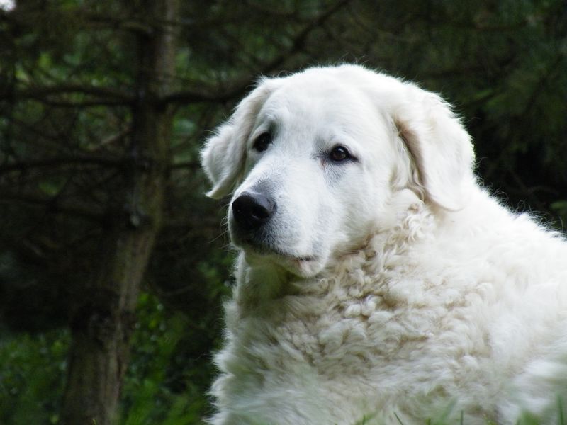 Publication : Észbontó 