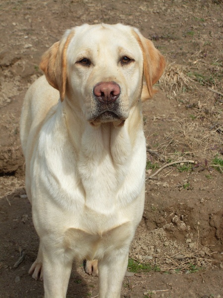 Publication : Des Jardins D'eywa