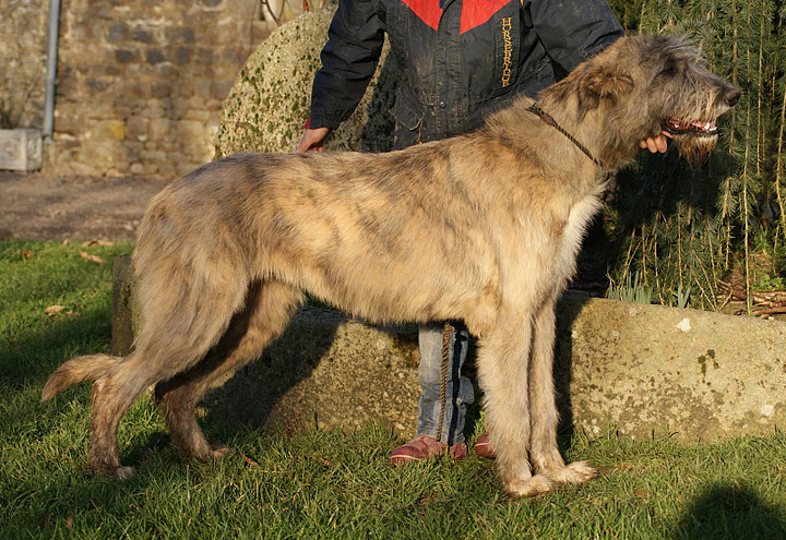 Publication : du Grand Germancé Auteur : Le Roux