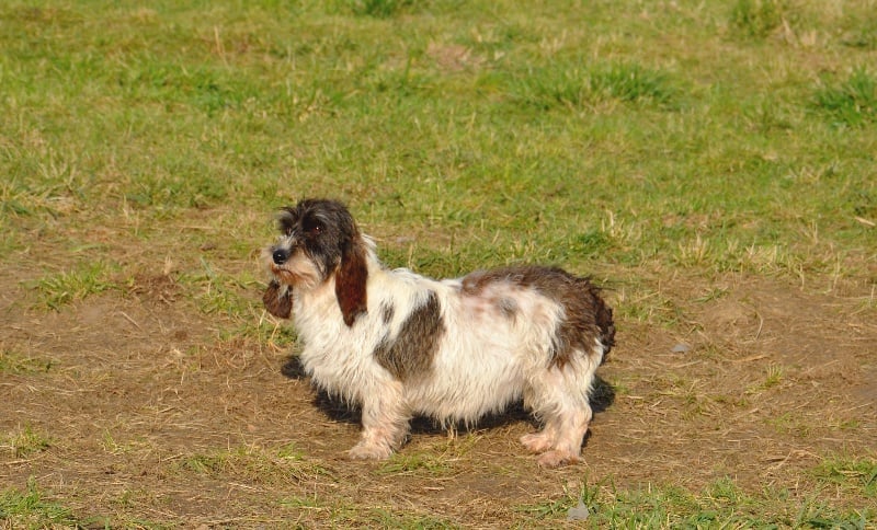 Publication : Du Grand Etricher