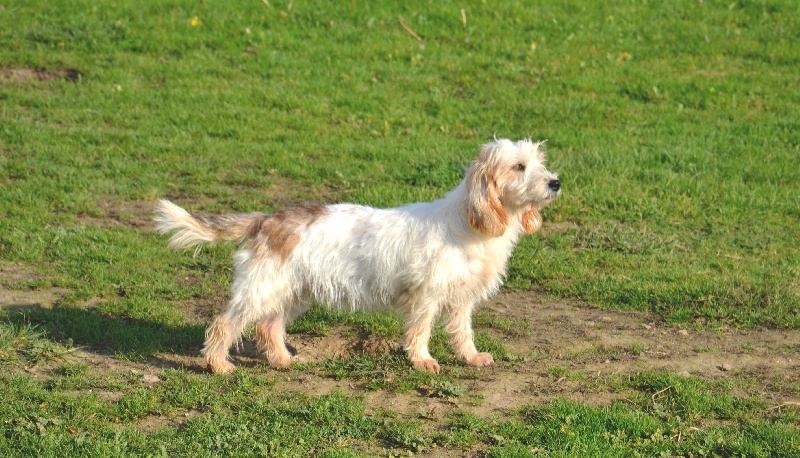 Publication : Du Grand Etricher