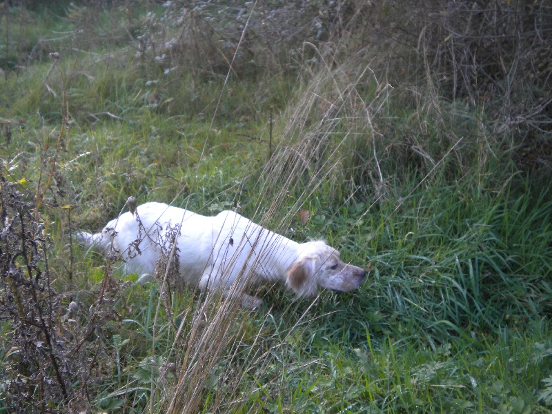 Publication : Du domaine de la mignotiere Auteur : roux christophe