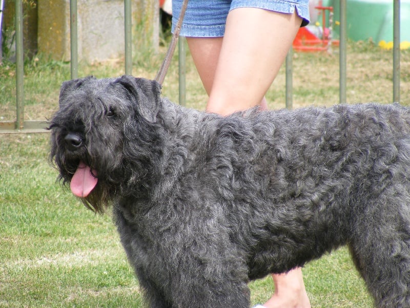 Publication : Du stav do leu 