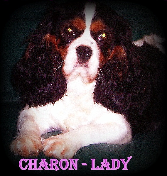 Charon-lady du clos saint romain