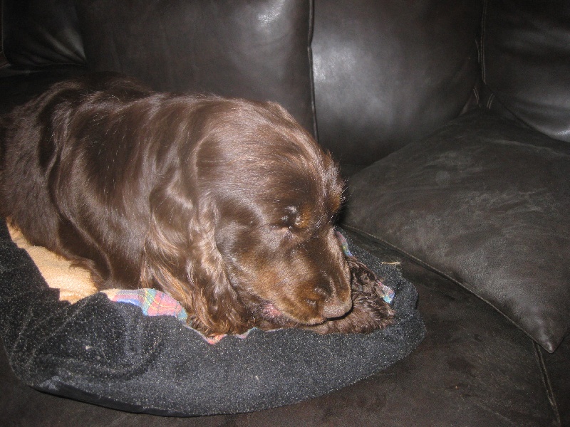 Publication : Real-Friends Auteur : Kerschen Liette