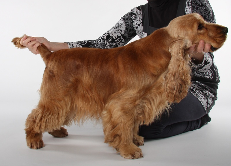 Publication : Real-Friends 