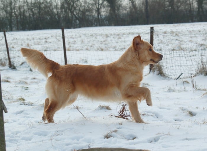 Publication : Feelgood Lazaryzou Auteur : fabienne studle