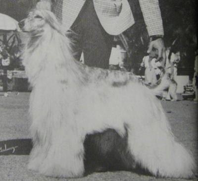 CH. genesis Caelus of jaffna