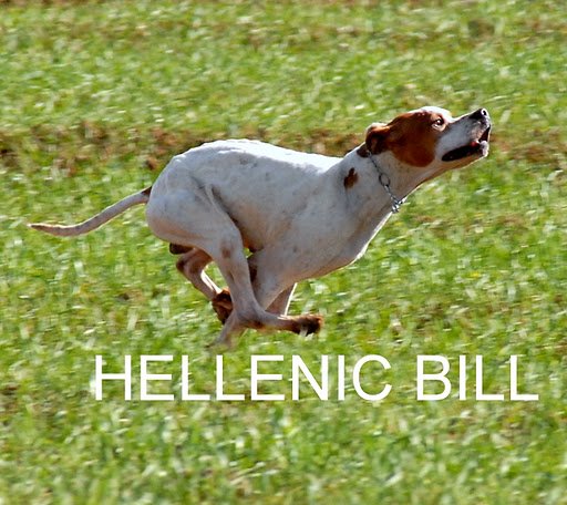 TR. CH. hellenic Bill