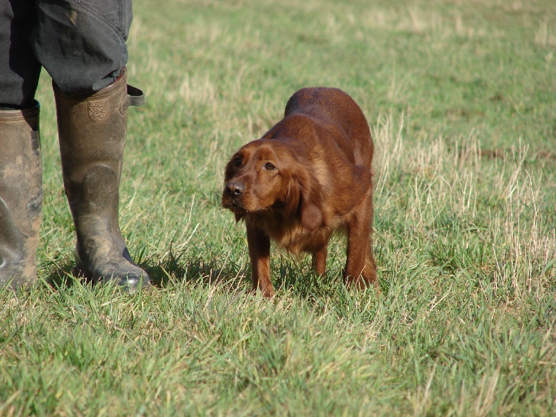 Publication : Vom Kapellenpfad Auteur : Solveig Anheuser