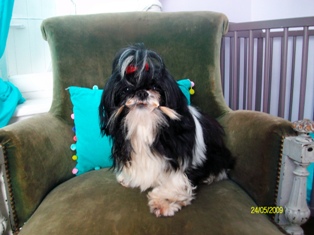 Easy du chateau d'o-riant