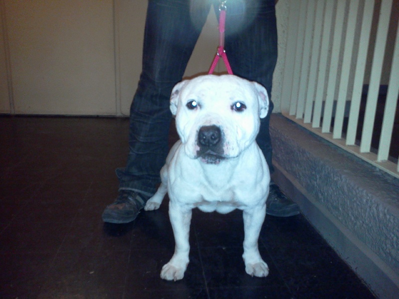 Publication : du chant de hienda 