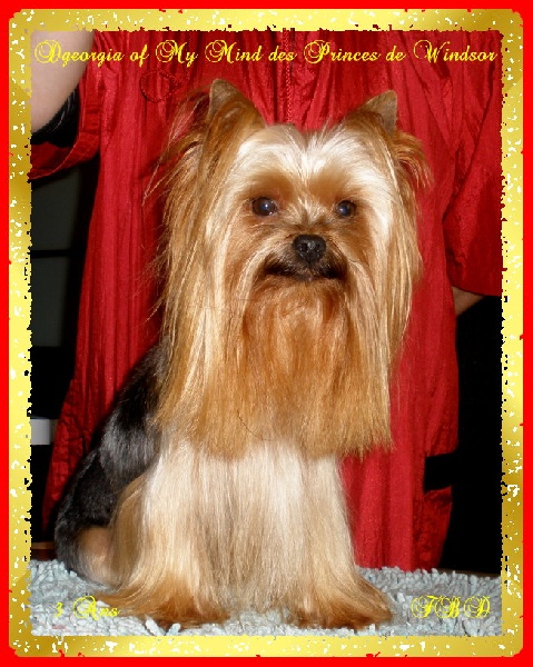 Dgeorgia of my mind des Princes de Windsor