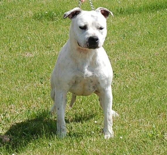 Publication : on this Harvest Moon