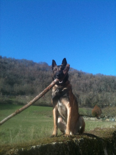 Fahro des Plaines Du Minervois