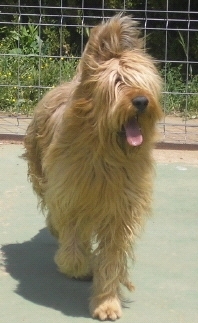 U'zetor de ki denved