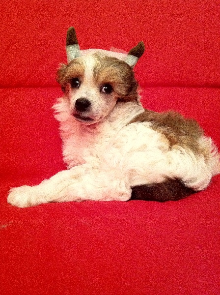 Publication : STAR STALKER'S Auteur : Stephanie CROISER