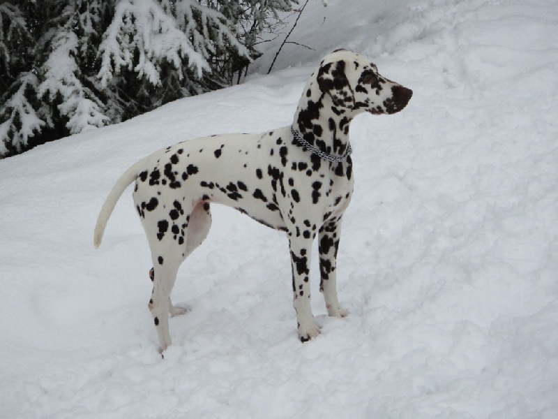 Publication : Bief Profond