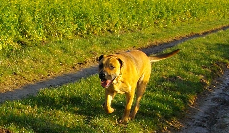 Publication : hasta siempre