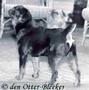 Publication : Vannjty Auteur : inconnu