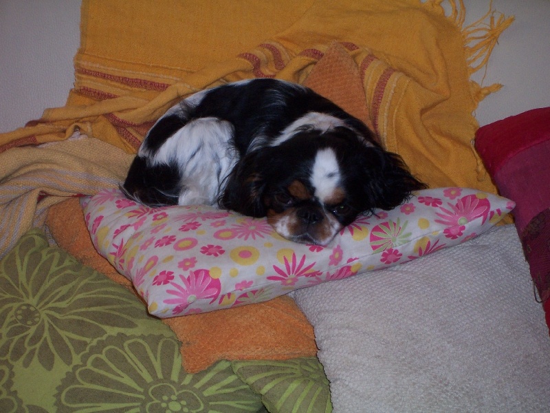 Dreamy dit déesse Of delicious love