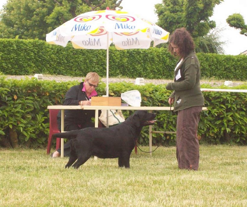 Disney des coteaux de Ceres