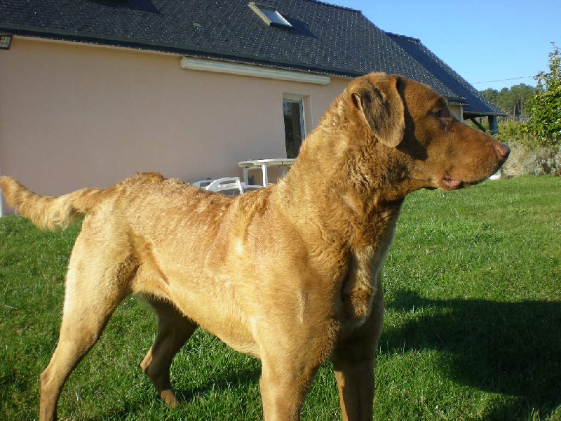 Publication : des esclassiers