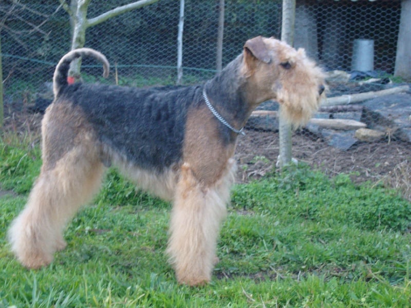 Publication : Larrekia Auteur : michel santos