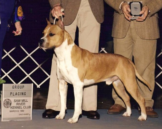 CH. Fraja ec Ruff rider