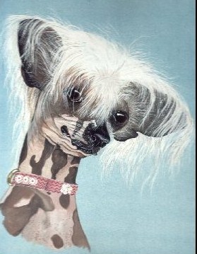 Moonswift Hot potato of blandora