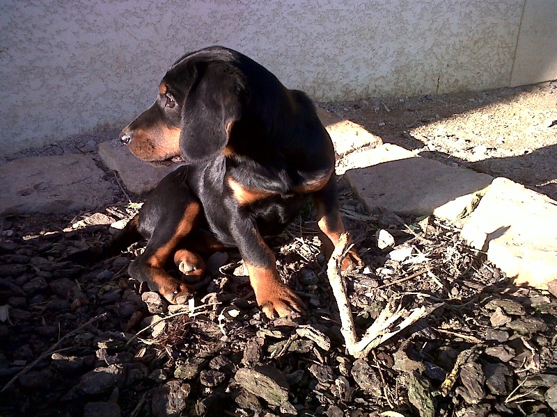 Publication : des Sources de Jouhe