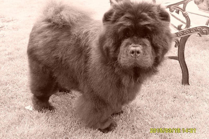 Publication : La Chaumière