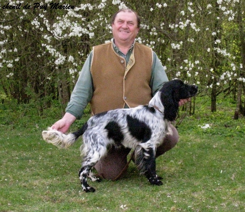 Publication : de Puy Marien Auteur : chenil de puy marien