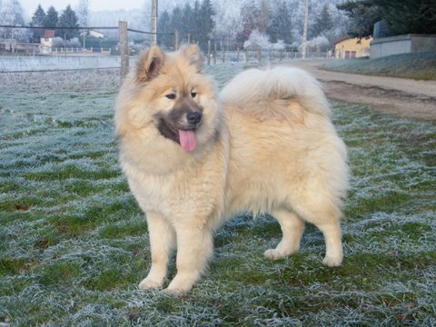 Publication : du Clos Lucy Auteur : Anita MASTROTOTARO