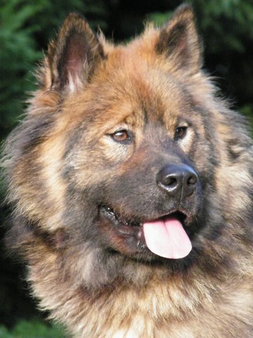 Publication : du Clos Lucy Auteur : Le Clos Lucy