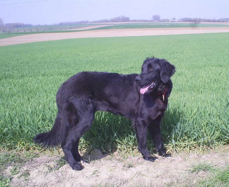 Publication : des Forces Vives Auteur : moi même