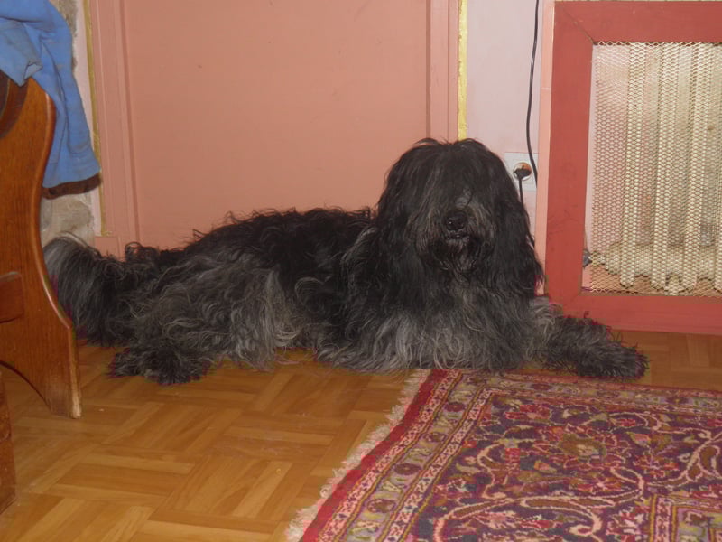 Publication : du Domaine des Cotieres 