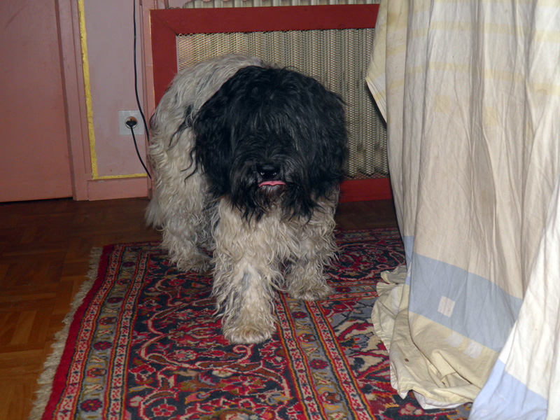 Publication : du Domaine des Cotieres 