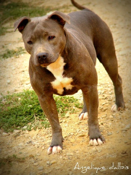 Publication : du chant de hienda